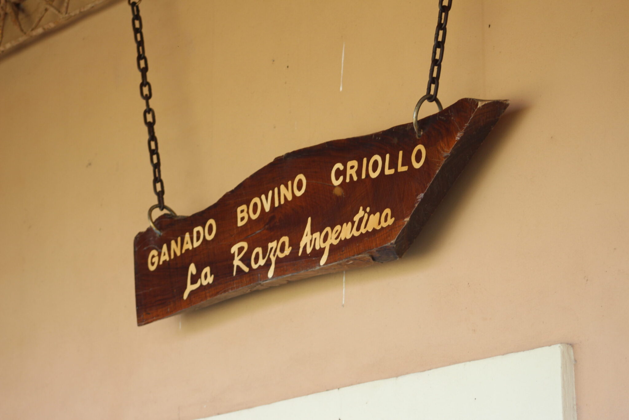 Cartel establecimiento bovino criollo en Argentina