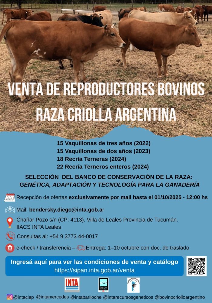 WhatsApp Image 2025-09-22 at 13.39.34